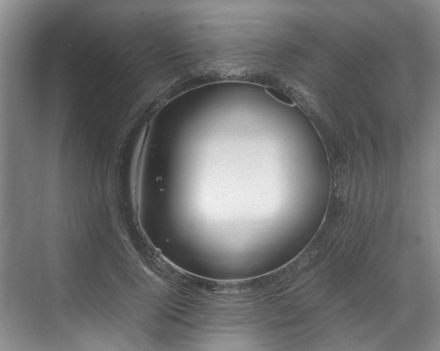 X0000070830740200606191248
