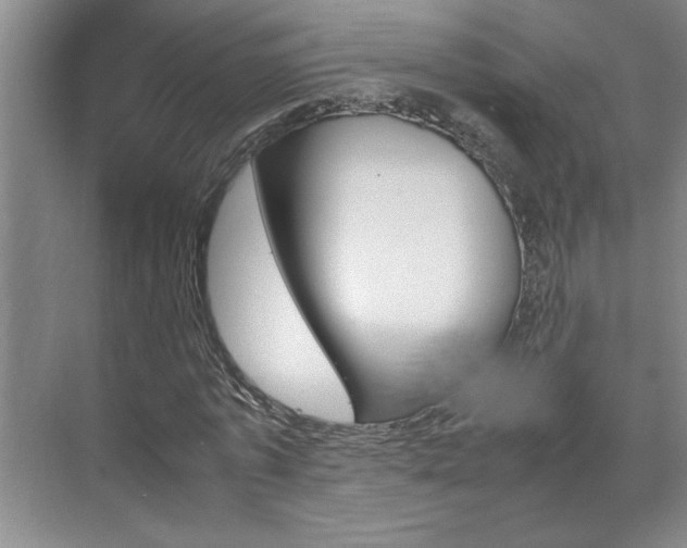 X0000070830773200606191247