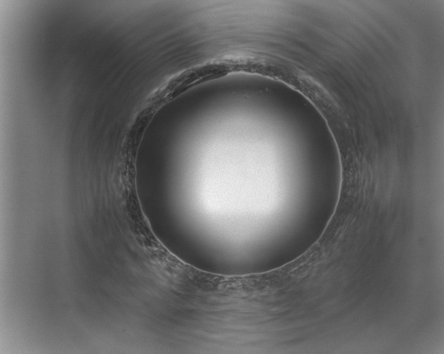 X0000070830776200606191247