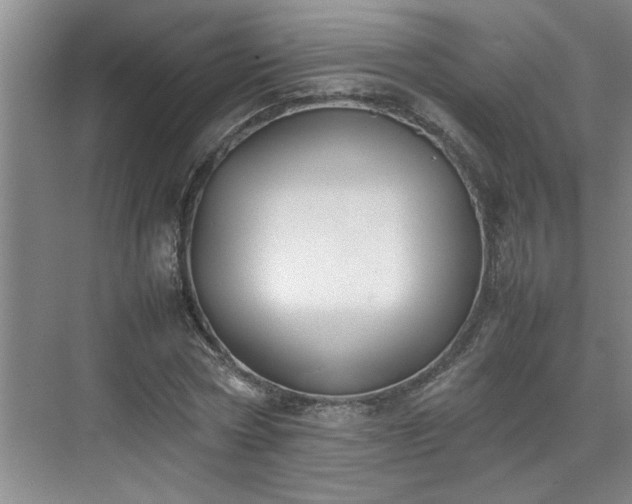 X0000070830778200606191247