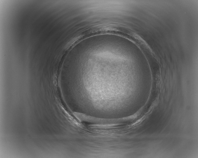 X0000070830785200606191247