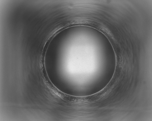 X0000070830786200606191247