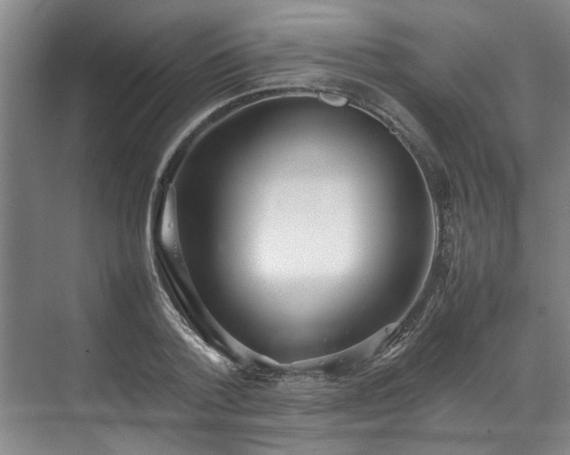 X0000070830788200606191247