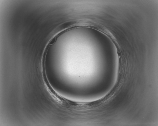 X0000070830795200606191247