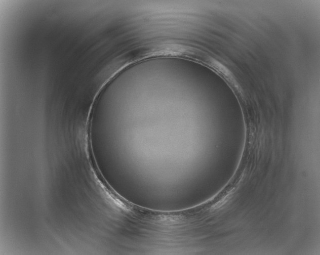 X0000070830802200606191247