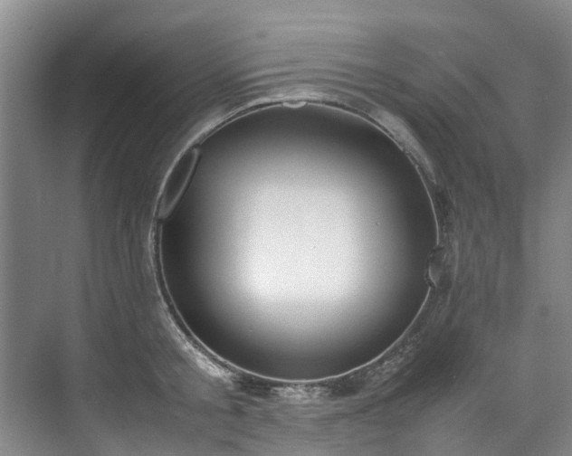 X0000070830805200606191247