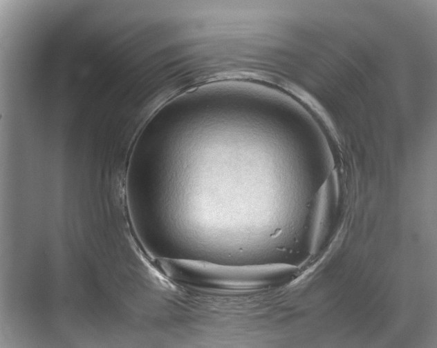 X0000070830809200606191247