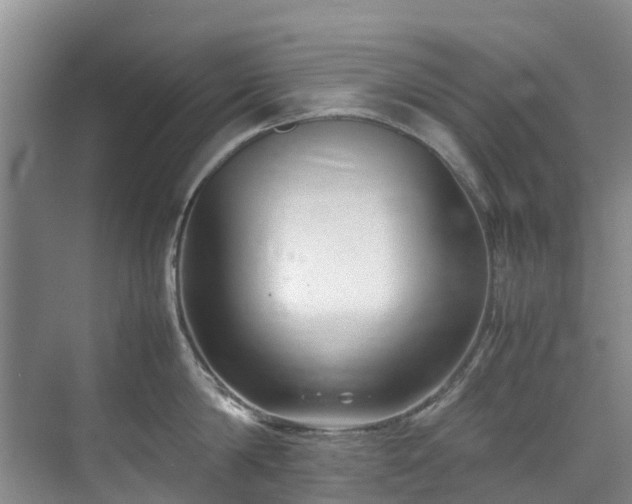 X0000070830814200606191247