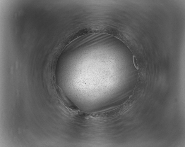 X0000070830817200606191246