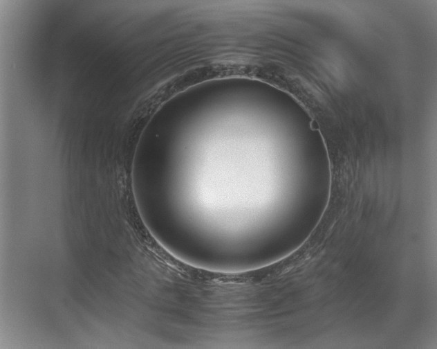 X0000070830821200606191246