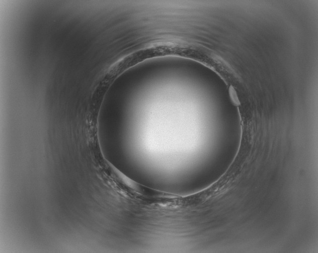 X0000070830822200606191246