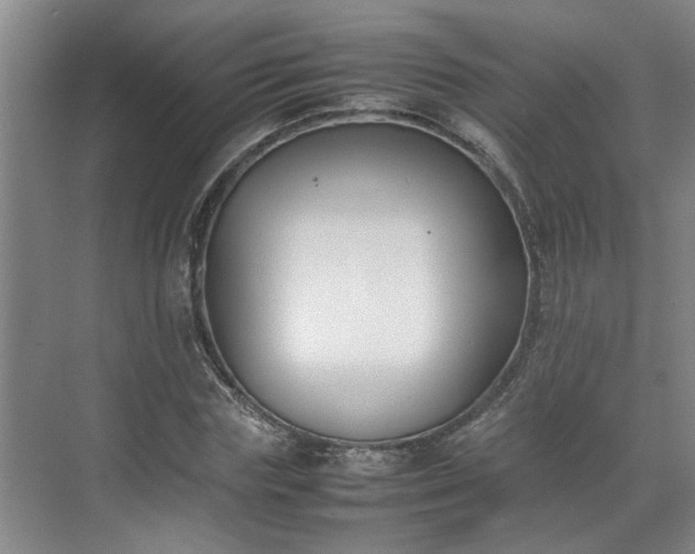 X0000070830827200606191246