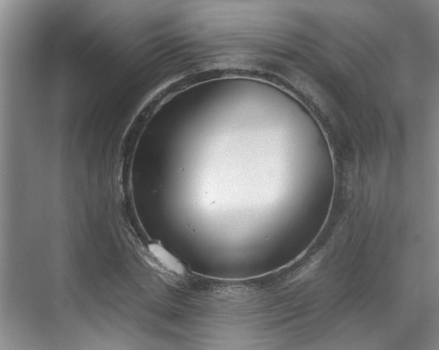 X0000070830830200606191246