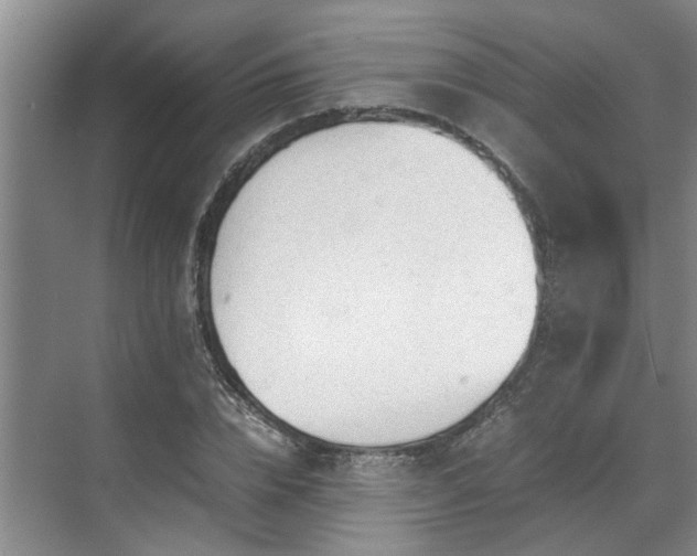 X0000070830832200606191246