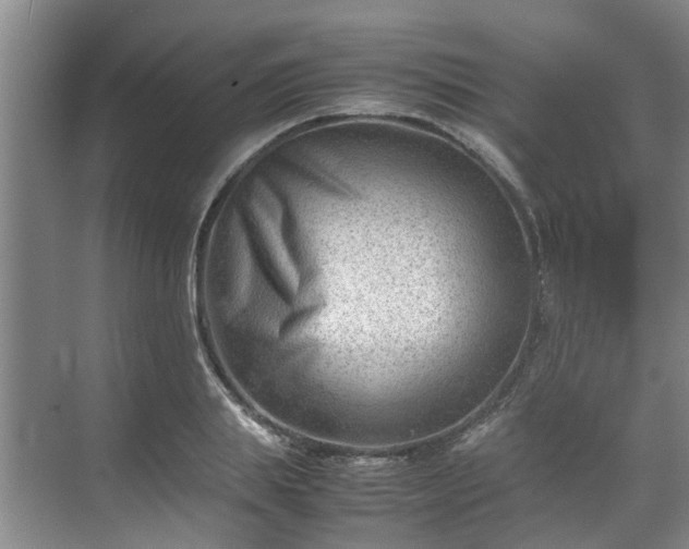 X0000070830839200606191246