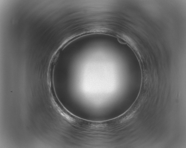 X0000070830843200606191246
