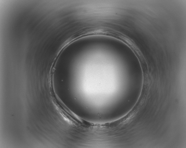 X0000070830858200606191246