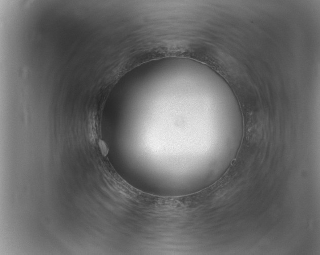 X0000070830866200606191246