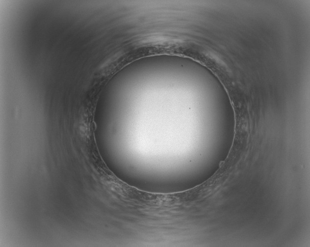 X0000070830869200606191246
