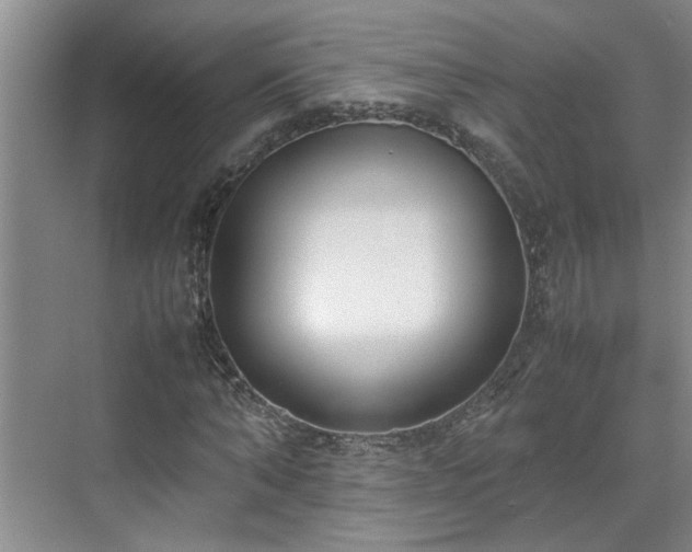 X0000070830870200606191246