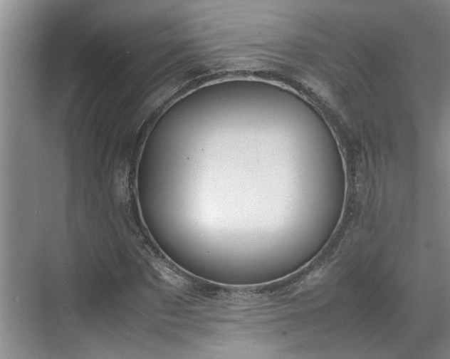 X0000070830873200606191246