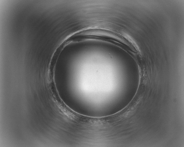 X0000070830876200606191246