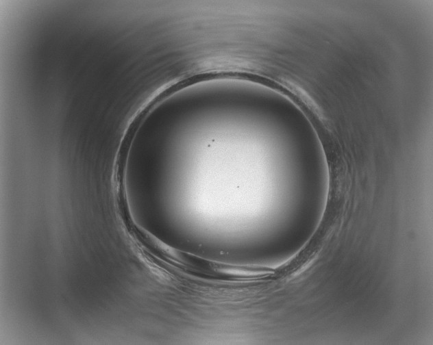 X0000070830885200606191245