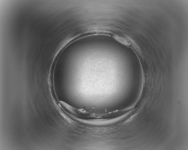 X0000070830893200606191245
