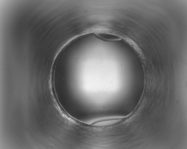 X0000070830904200606191245