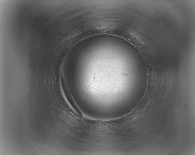 X0000070830917200606191244