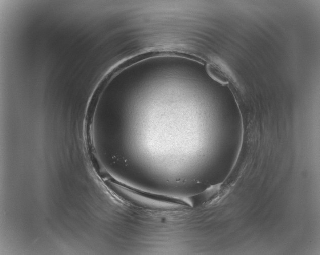 X0000070830932200606191244