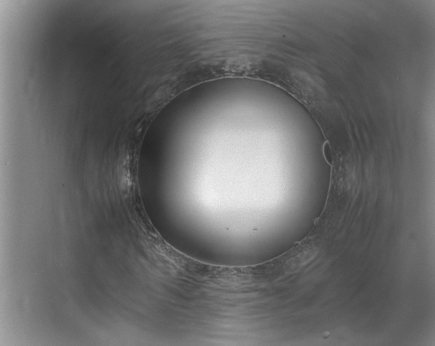 X0000070830962200606191244