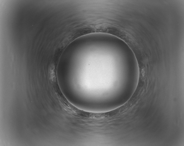X0000070830963200606191244