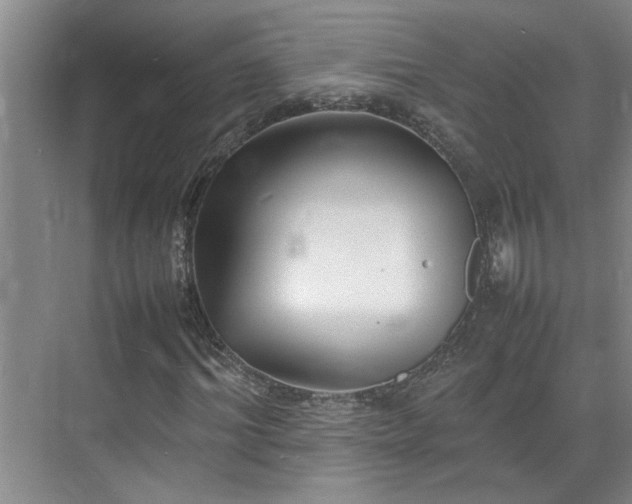 X0000070830964200606191244