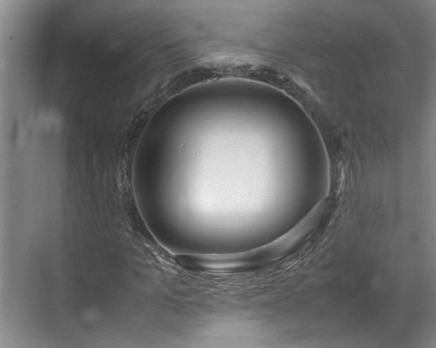 X0000070830965200606191244