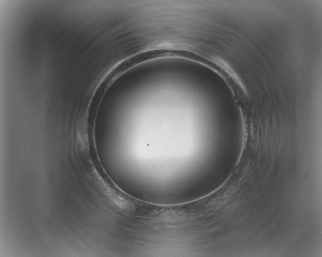 X0000070830972200606191244