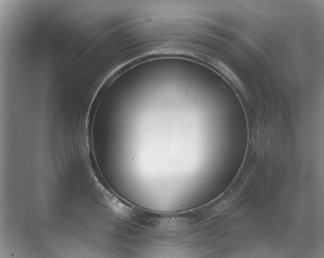 X0000070830988200606191244
