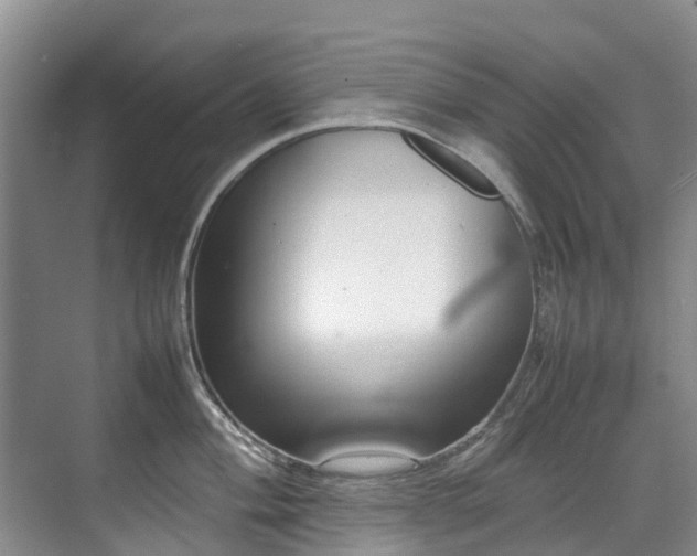 X0000070831004200606191243