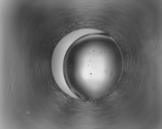 X0000070831010200606191243