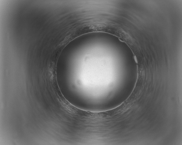 X0000070831012200606191243