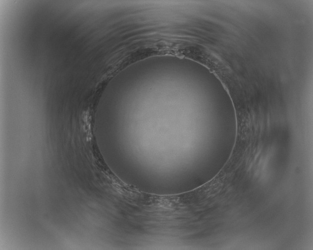 X0000070831013200606191243