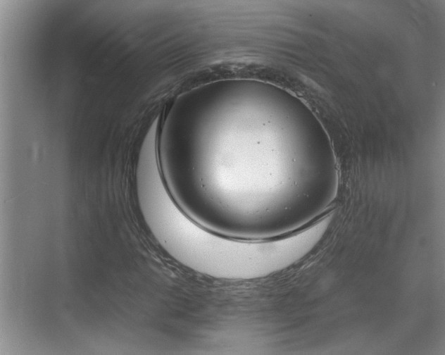 X0000070831014200606191243
