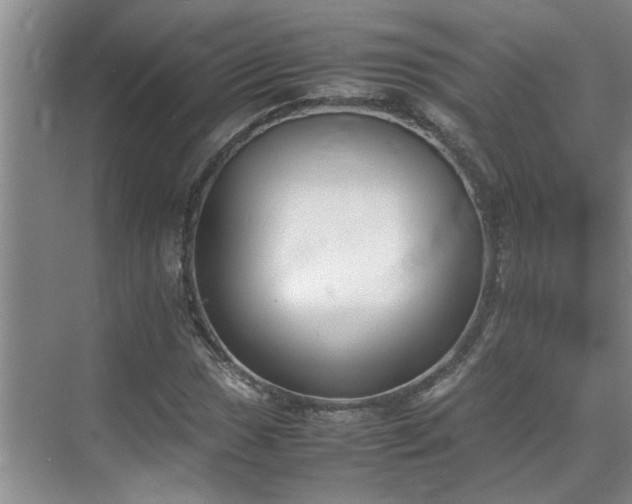 X0000070831017200606191243