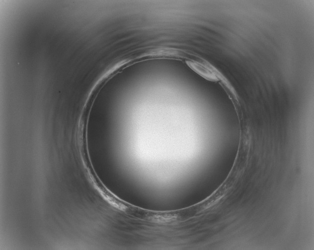 X0000070831053200606191243