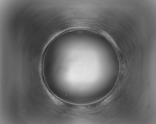 X0000070831101200606191242