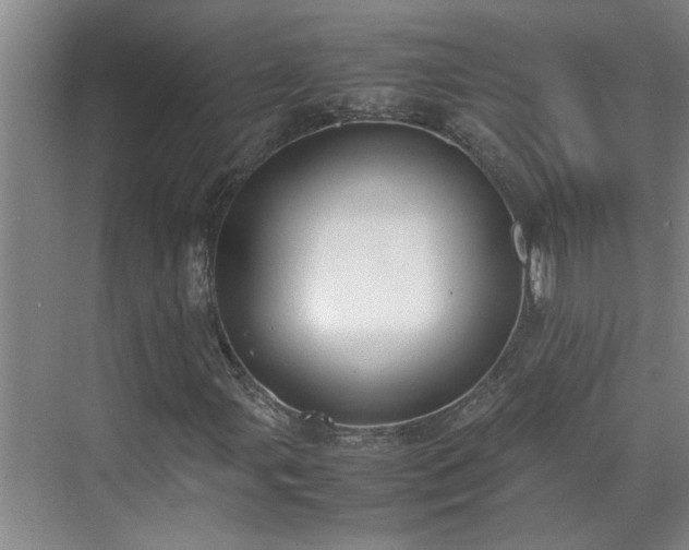 X0000070831107200606191241