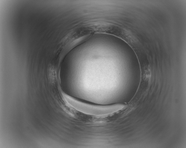 X0000070831108200606191241