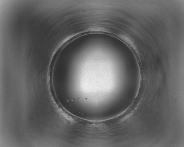 X0000070831133200606191241