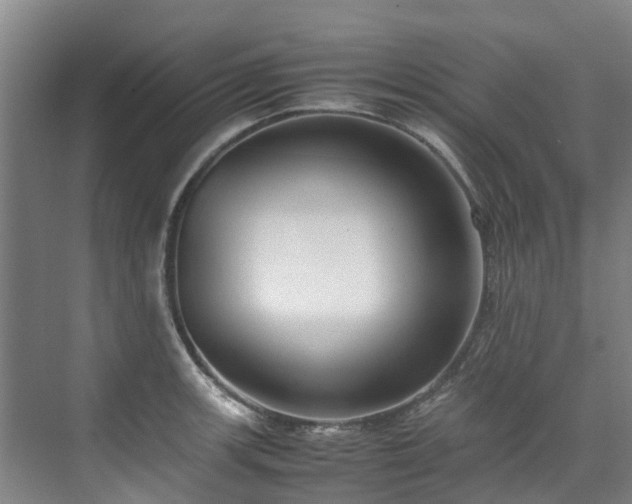 X0000070831139200606191241