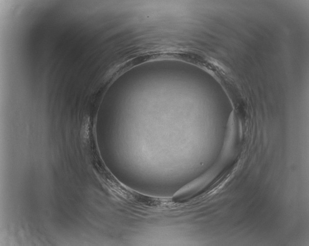 X0000070831161200606191241